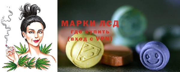 соль ск Снежинск