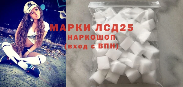 соль ск Снежинск