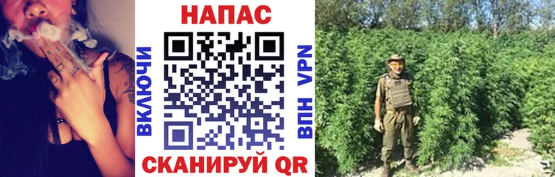 Конопля MAZAR Ейск